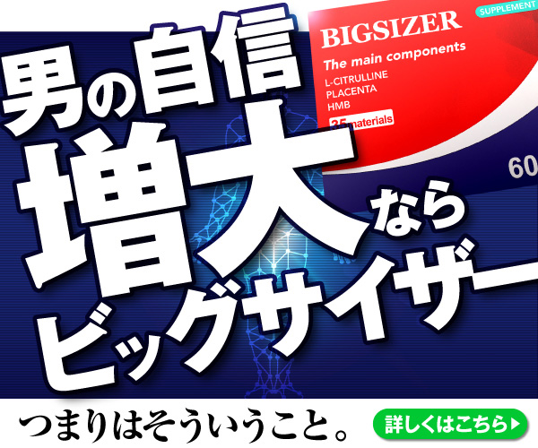 ビッグサイザー　BIGSIZER